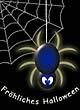 Spinne