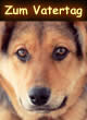 Hund
