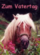 Pferd