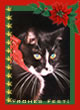 Weihnachtskarte