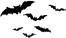 Fledermäuse Grafik: Fledermäuse