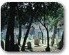 Foto: Friedhof