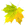 Blatt