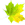 Blatt