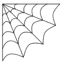 Spinnennetz