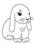 Hase