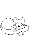 Katze