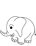 Elefant