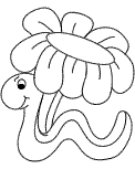 Wurm