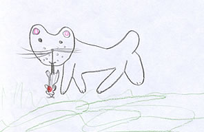 Katze