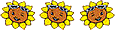 Sonnenblumen