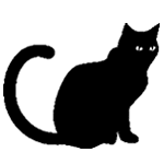 Bild: schwarzer Kater